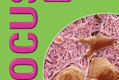 Focus Life Sciences Grade 12 Learners Book ISBN 9780636141049